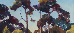 Pine Study | 2018 | Oil on Canvas | 46 x 64 cm